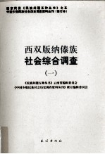 西双版纳傣族社会综合调查 1