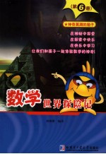 数学世界探险记 第6册 神奇莫测的箱子