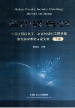 现代化工·冶金·材料·能源 中国工程院化工、冶金与材料工程学部第九届学术会议论文集 下