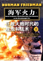 海军火力：巨舰大炮时代的舰炮和战术 2