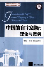 中国的自主创新 理论与案例