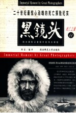黑镜头 11