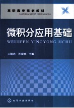 微积分应用基础