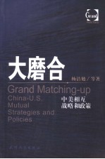 大磨合 中美相互战略和政策