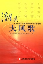 潮头大风歌 上海市南汇区政法系统先进事迹选编