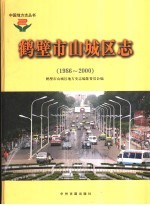 鹤壁市山城区志 1986-2000