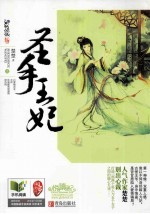 圣手王妃 上