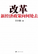 改革 新经济政策向何处去