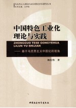 中国特色工业化理论与实践：基于马克思主义中国化的视角