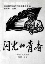 闪光的青春 解放战争时期的延边青年