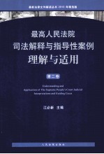 最高人民法院司法解释与指导性案例理解与适用 第2卷