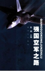 强国空军之路