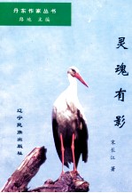 丹东作家丛书 灵魂有影
