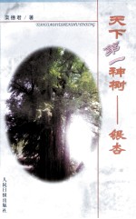 天下第一神树 银杏