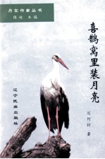 丹东作家丛书 喜鹊窝里装月亮