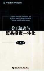 分工演进与贸易投资一体化