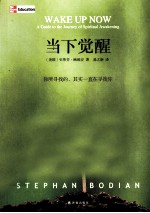 身心整合系列 当下觉醒
