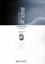知识产权 法理论与战略