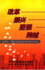 纪念十一届三中全会召开20周年文集 改革 振兴 图强 跨越