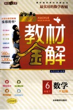 教材金解 数学 六年级 下 RJ版