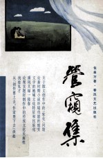 管窥集