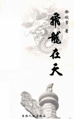 飞龙在天 下