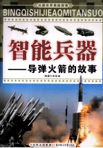 智能兵器 导弹火箭的故事
