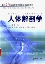 人体解剖学