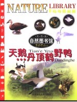 天鹅·丹顶鹤·野鸭
