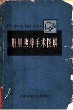肝胆脾胰手术图解
