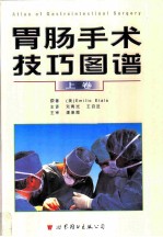 胃肠手术技巧图谱 上