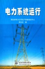 电力系统运行