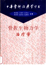 骨折生物力学治疗学