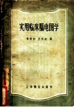 实用临床脑电图学