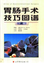 胃肠手术技巧图谱 下
