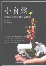 小自然 盆栽大师的无盆小品植栽
