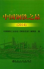 中国钢铁之最 2014