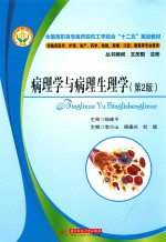 病理学与病理生理学 第2版