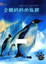 企鹅妈妈的旅程