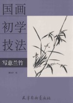 国画初学技法 写意兰竹