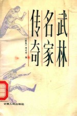 武林名家传奇  续集
