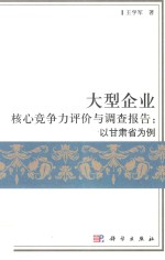 大型企业核心竞争力评价与调查报告 以甘肃省为例