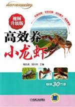 高效养小龙虾 视频升级版