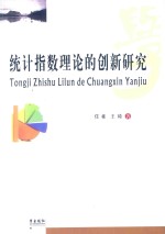 统计指数理论的创新研究