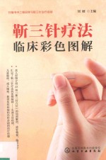 靳三针疗法 临床彩色图解