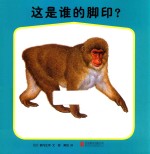 这是谁的脚印?