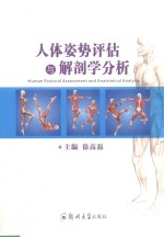人体姿势评估与解剖学分析