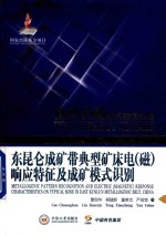有色金属理论与技术前沿丛书 东昆仑成矿带典型矿床电（磁）响应特征及成矿模式识别