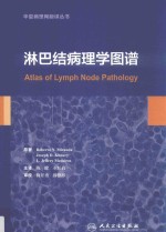 淋巴结病理学图谱 翻译版