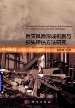 巨灾风险形成机制与损失评估方法研究
